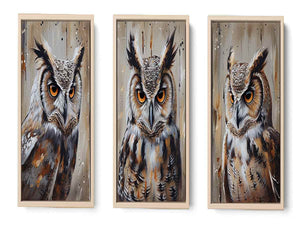 Owl  3 Piece  Art Set