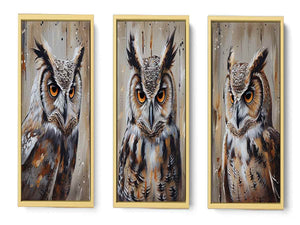 Owl  3 Piece  Art Set