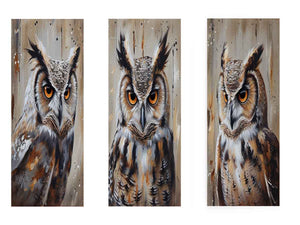 Owl  3 Piece  Art Set