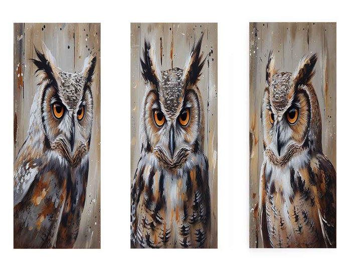Owl  3 Piece  Art Set