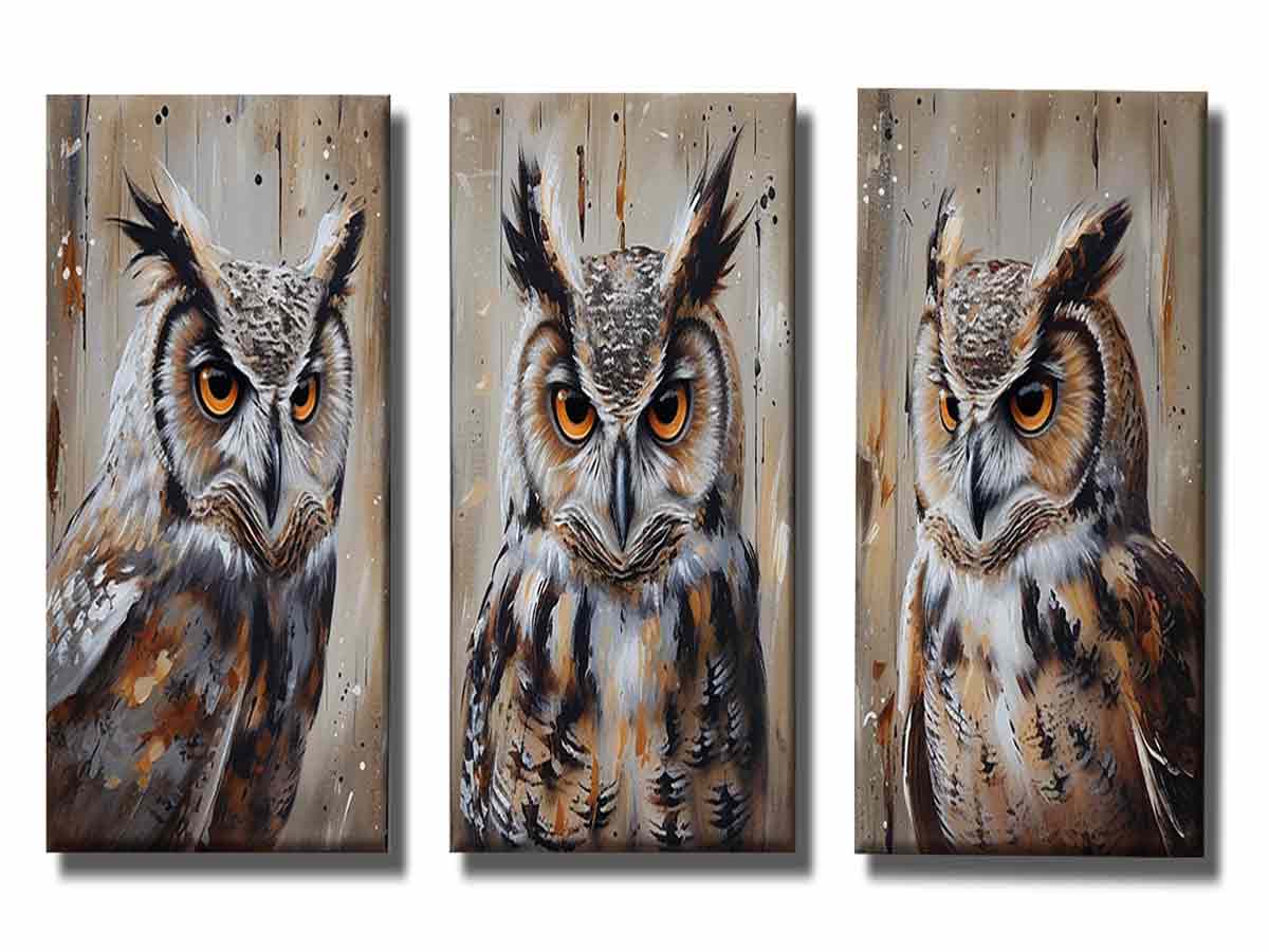 Owl  3 Piece  Art Set