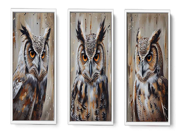 Owl  3 Piece  Art Set