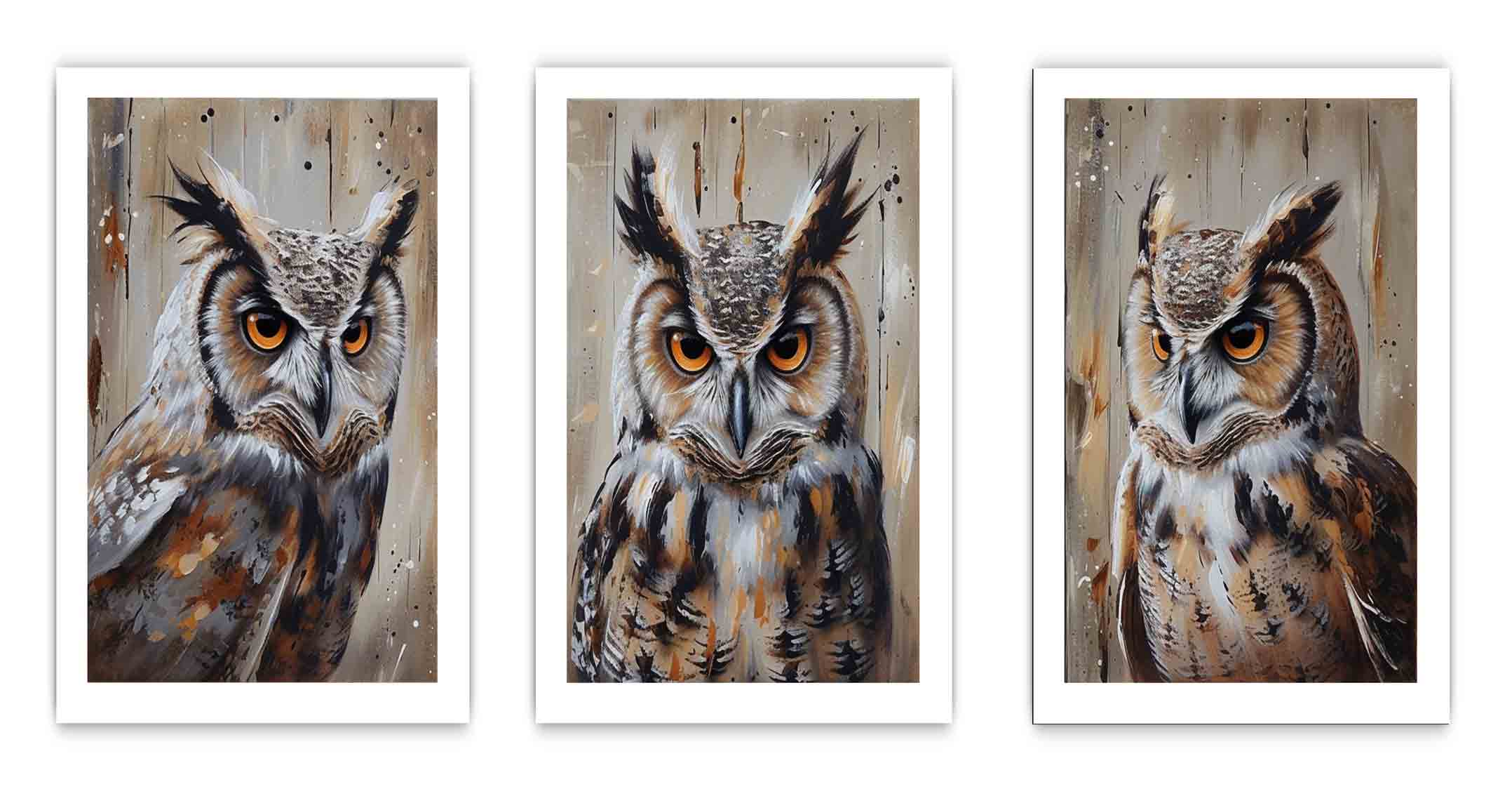 Owl  3 Piece  Art Set