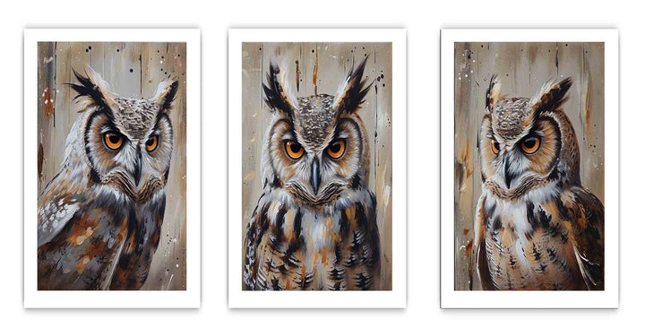 Owl  3 Piece  Art Set
