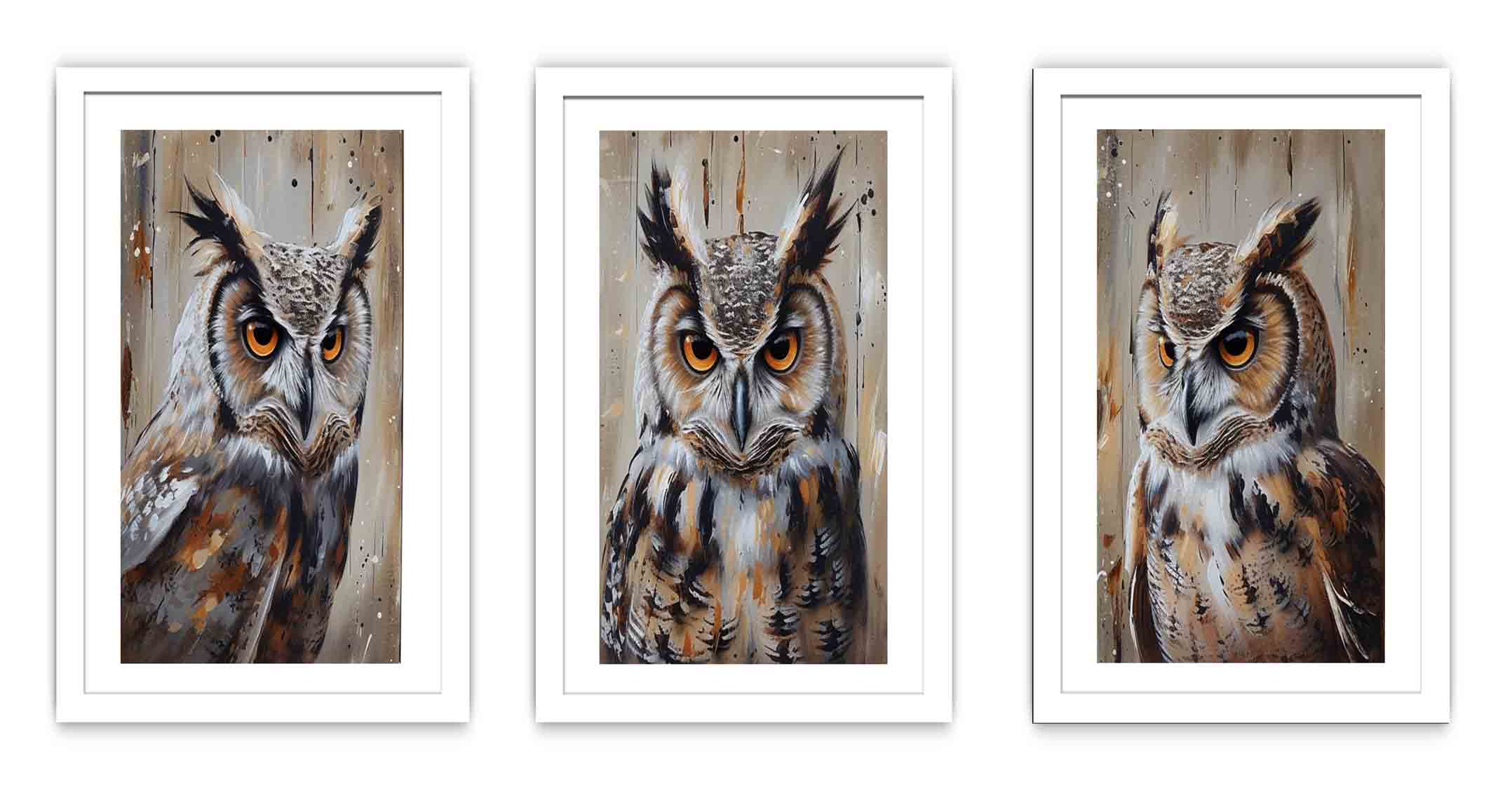 Owl  3 Piece  Art Set