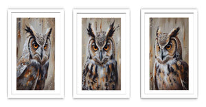 Owl  3 Piece  Art Set
