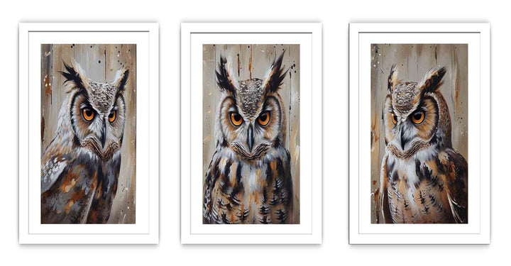 Owl  3 Piece  Art Set