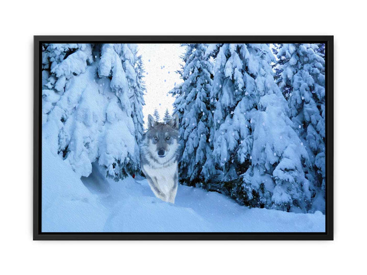 Wolf  in Snow Painting 