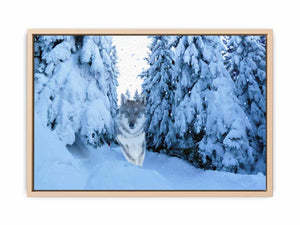 Wolf  in Snow Painting 