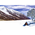 Snow Painting