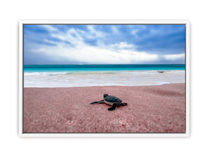 Turtle on Beach  Painting 