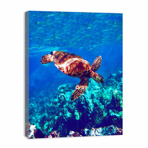 Sea Turtle Original Painting 