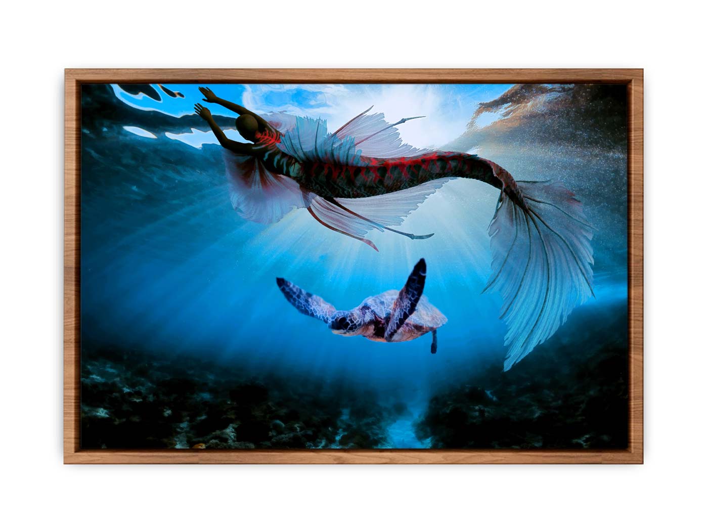 Turtle  and Fish Art 