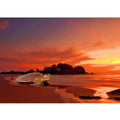 Beautiful Turtle Painting  Artwrork