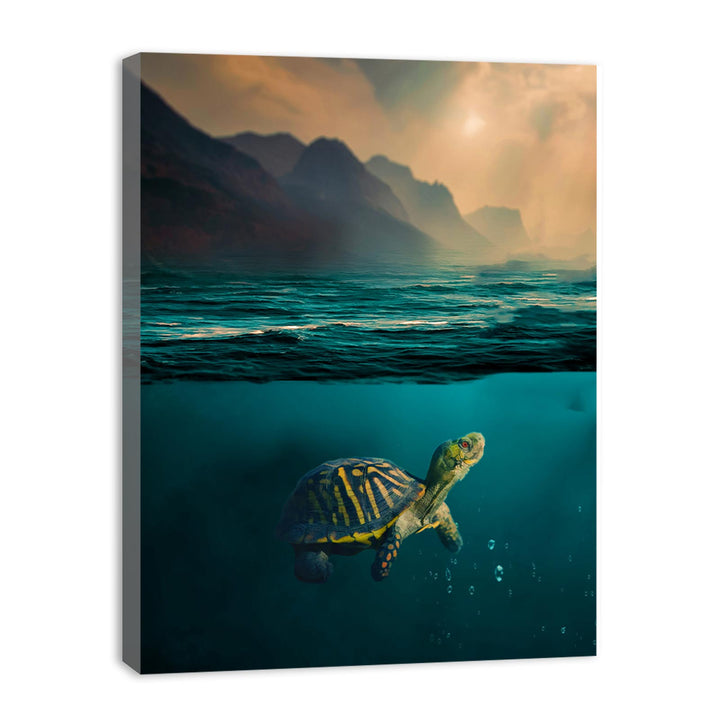 Turtle  Art Painting 