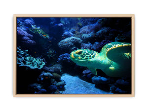 Turtle  Art Painting 