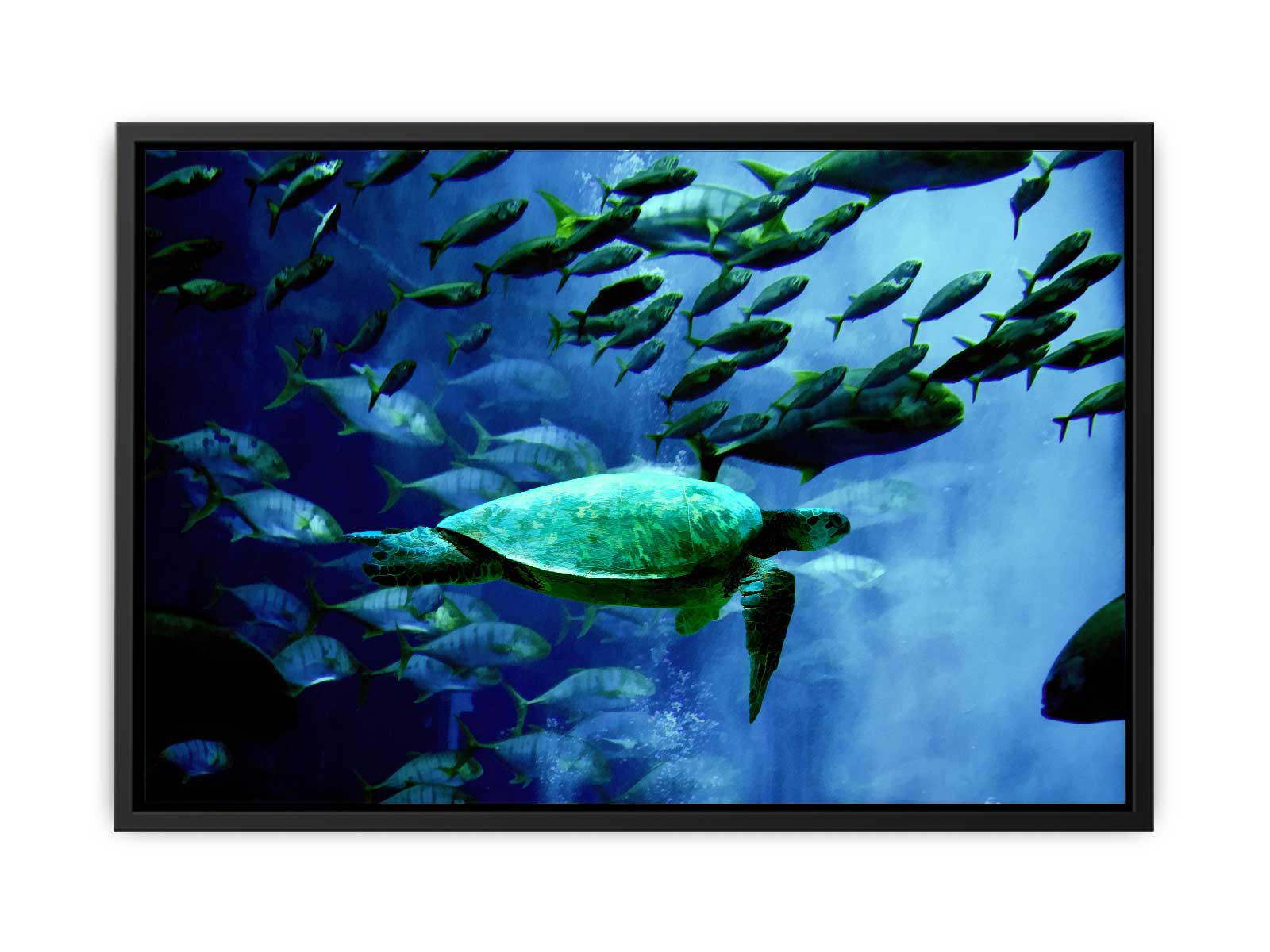 Turtle  and Fish Painting 