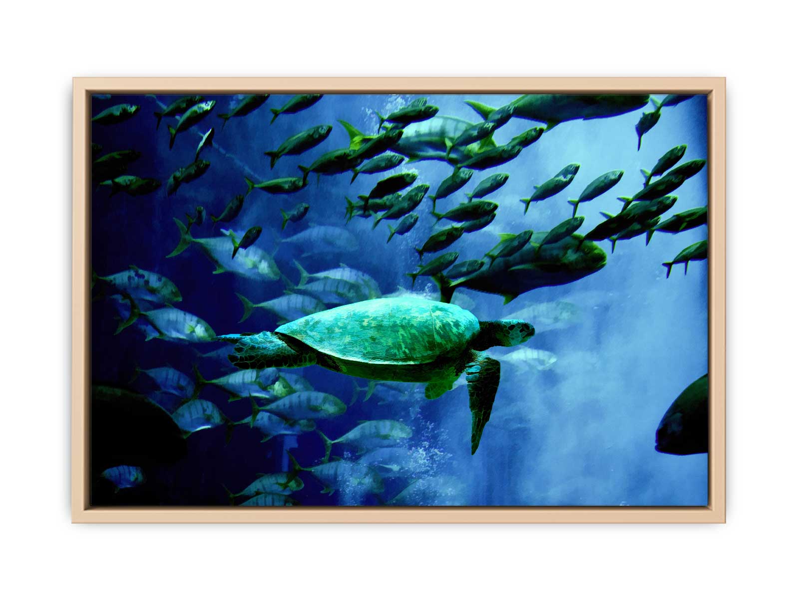 Turtle  and Fish Painting 
