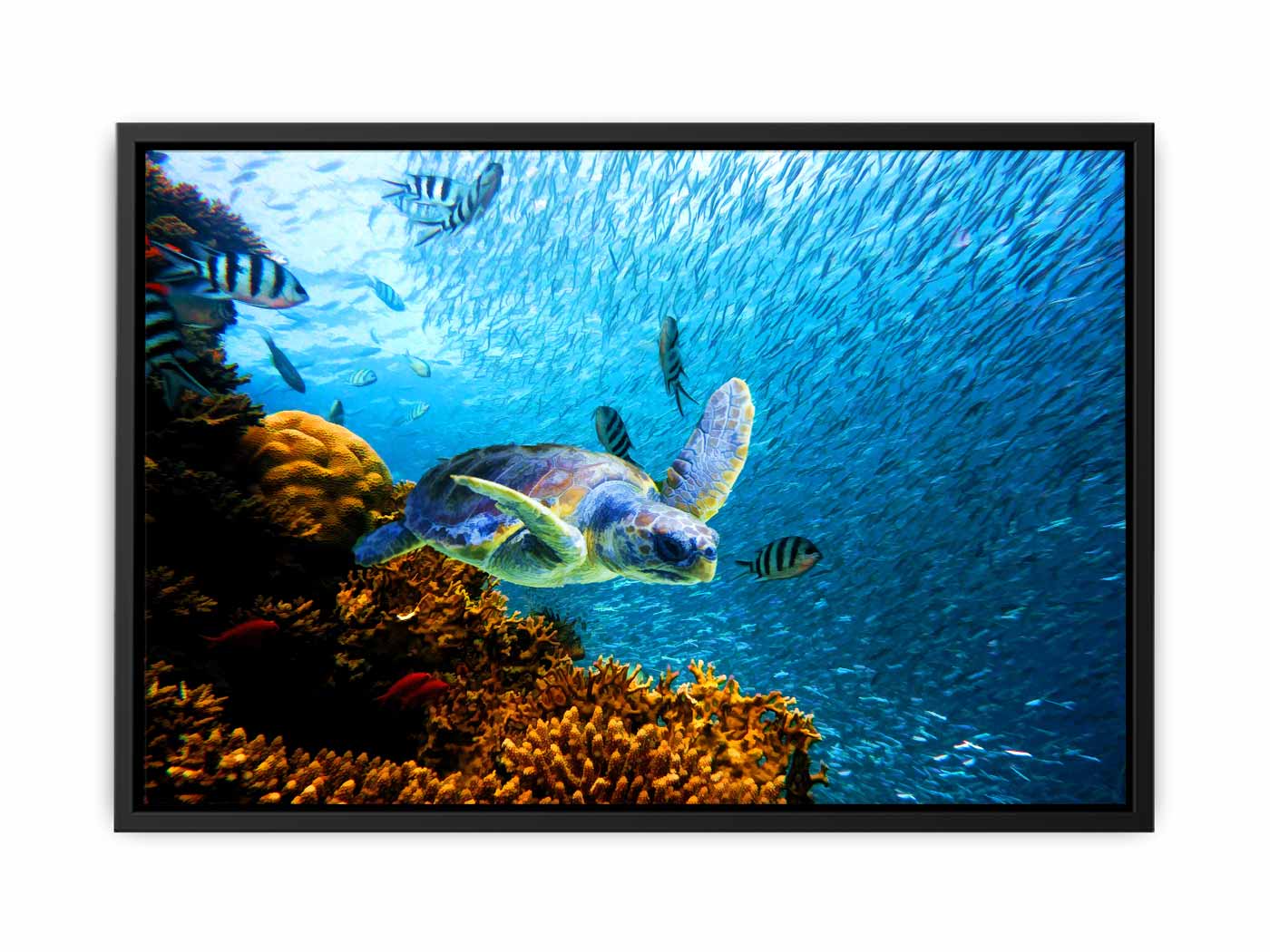 Turtle  art Oil Painting 