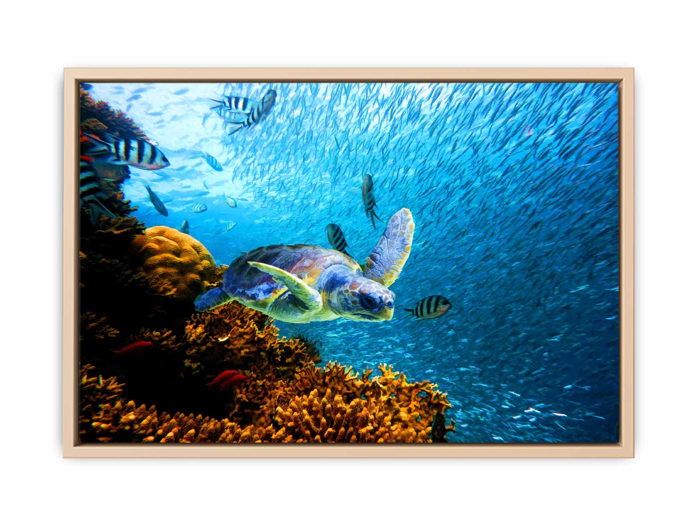 Turtle  art Oil Painting 