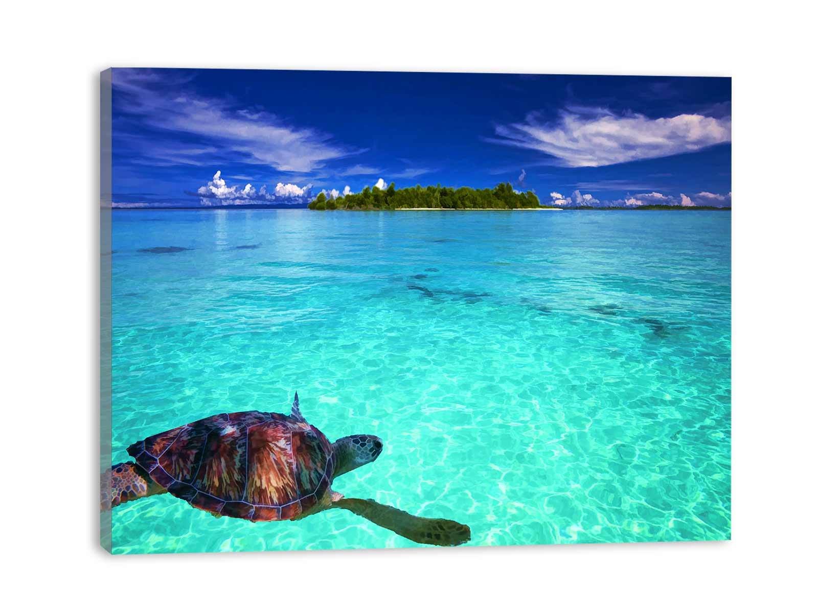 Turtle  in Sea Painting 