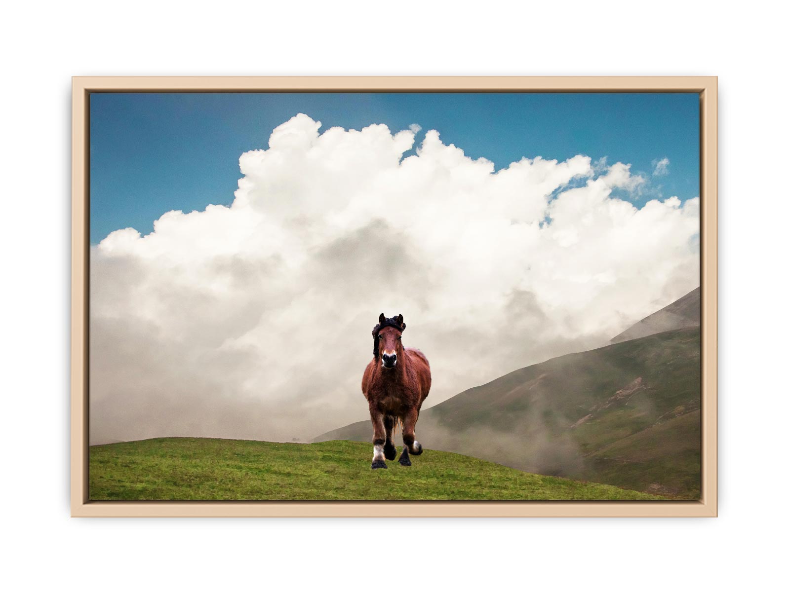 Horse Painting 
