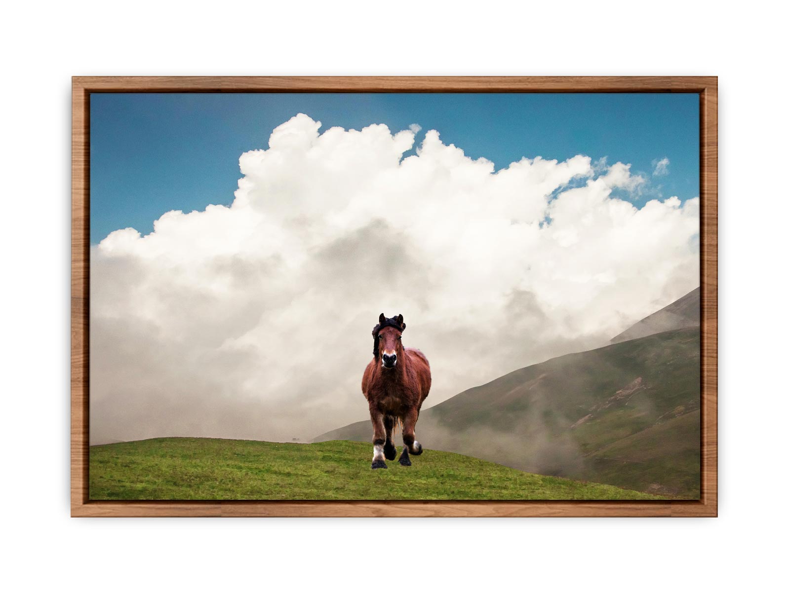 Horse Painting 