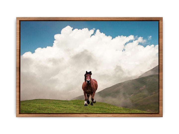 Horse Painting 