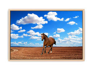 Walking Horse Painitng 