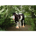 Stable Horse Painting