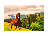 Running Horse Painting artwork preview