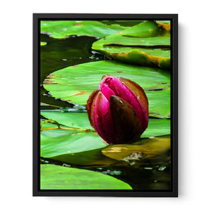 Flower Bud Pond Painting 