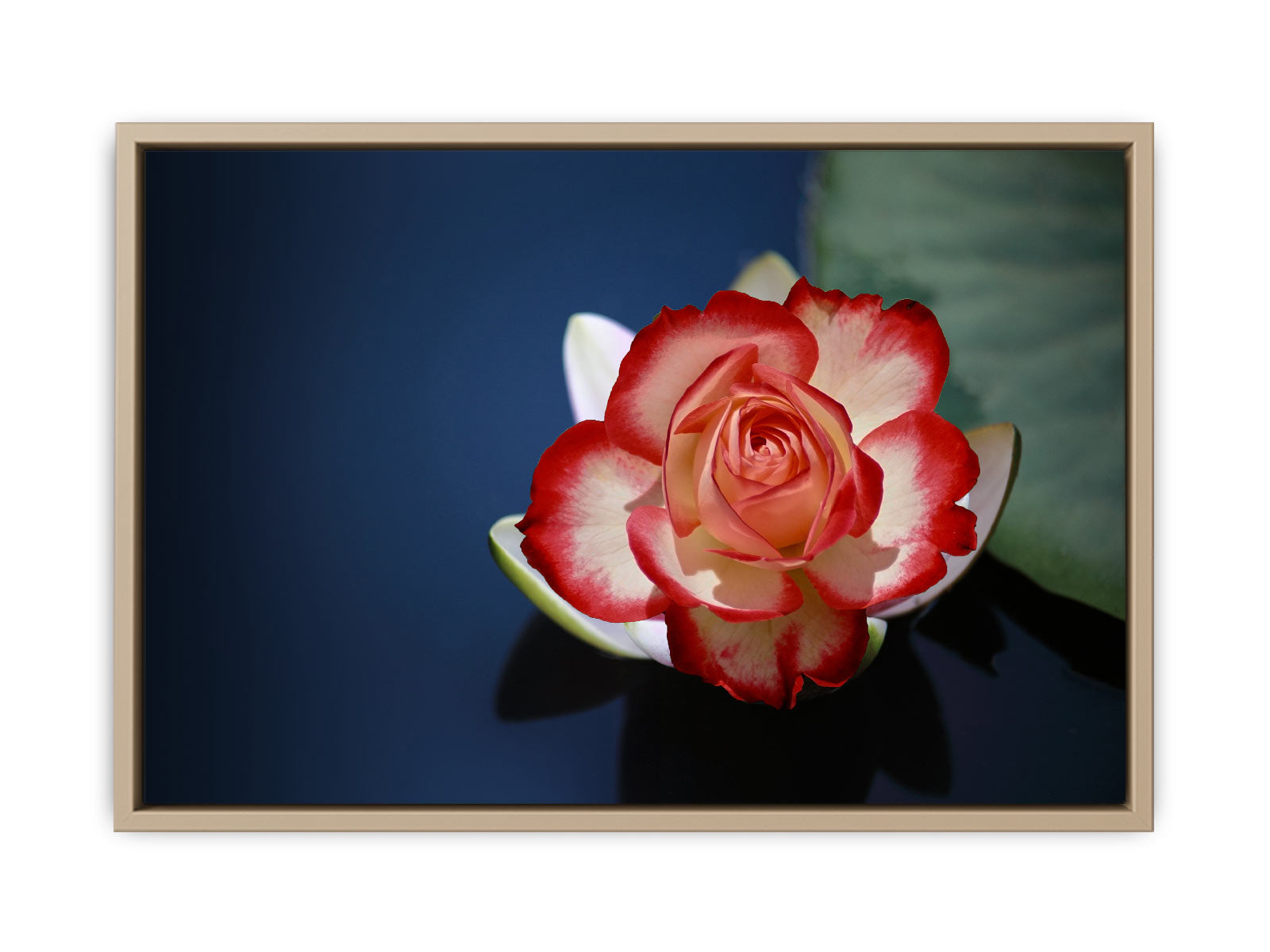 Lily Flower Painting  2 