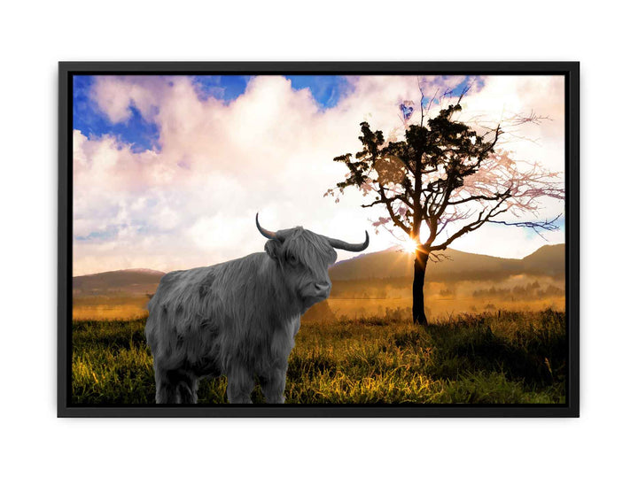 Highland Cow In Farm Painting 