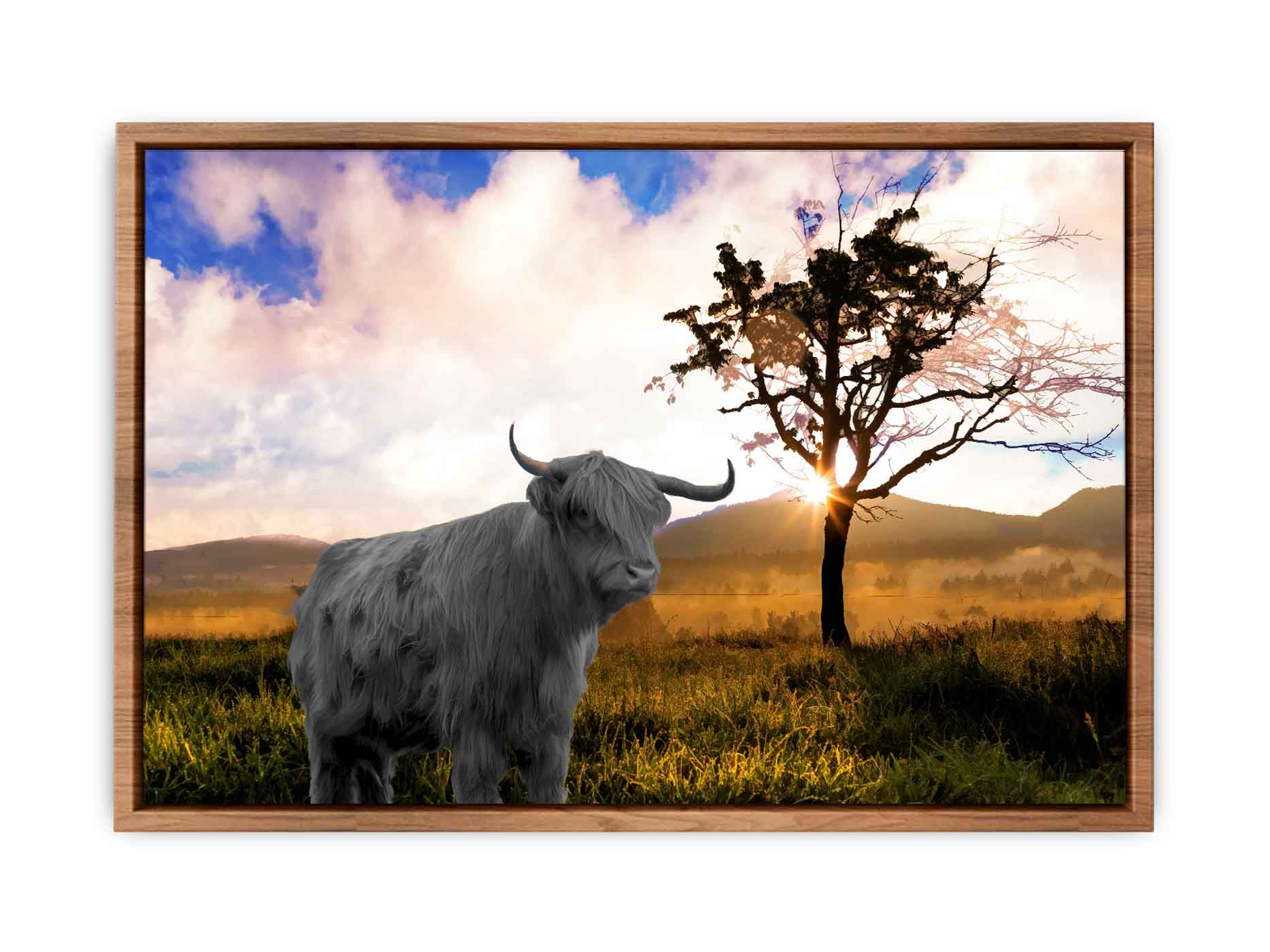 Highland Cow In Farm Painting 