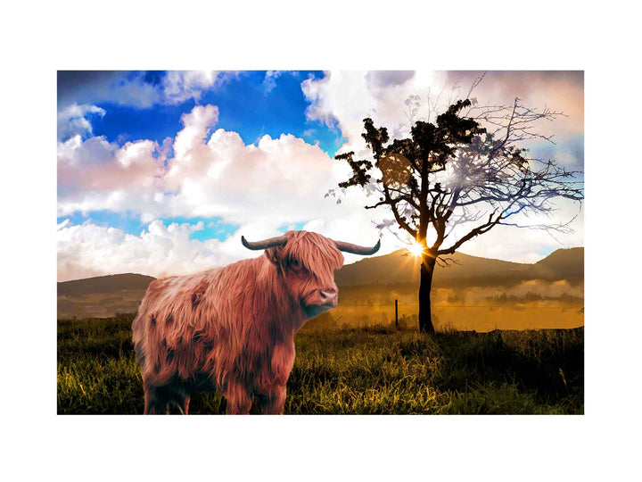 Highland Cow Painting