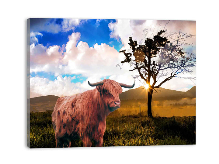 Highland Cow Painting 