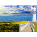 Pathway to lighthouse Painting 3