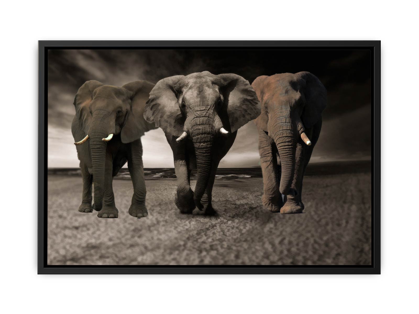 Elephans Painting 