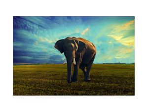 Elephant Painting 