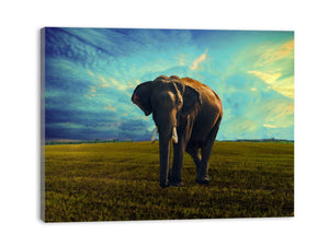 Elephant Painting 