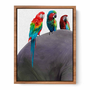 Australian Parrot Painting 