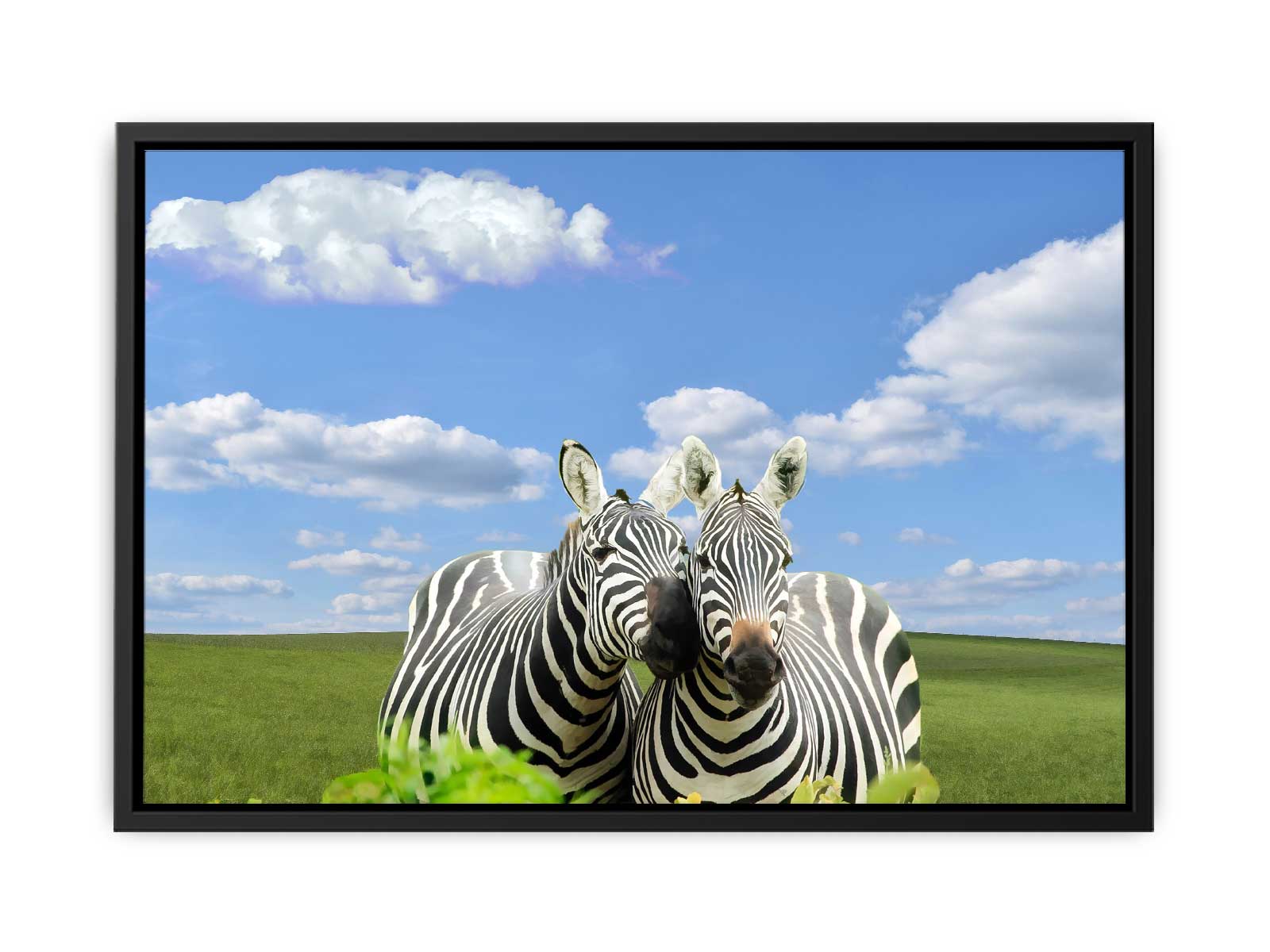 Black White Zebra Painting 