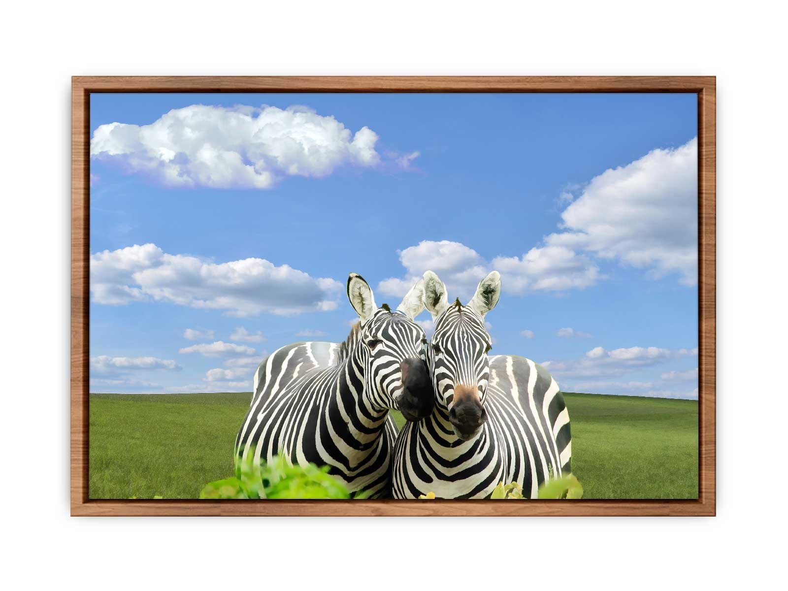 Black White Zebra Painting 
