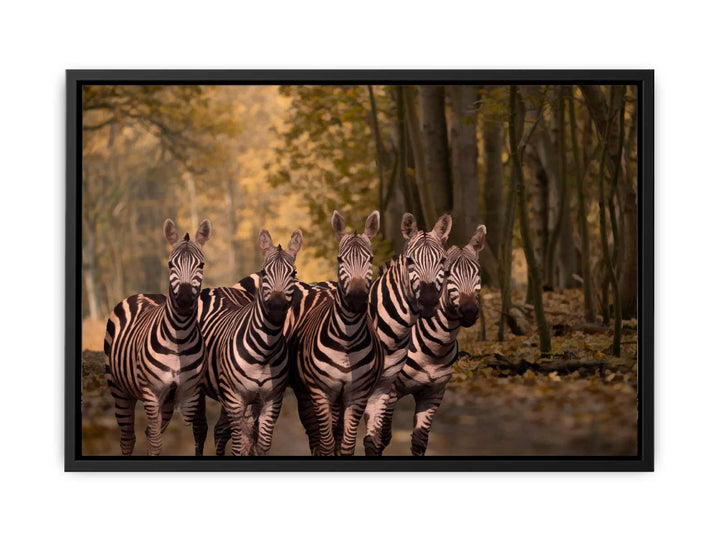 Dazzle Zebra Painting 