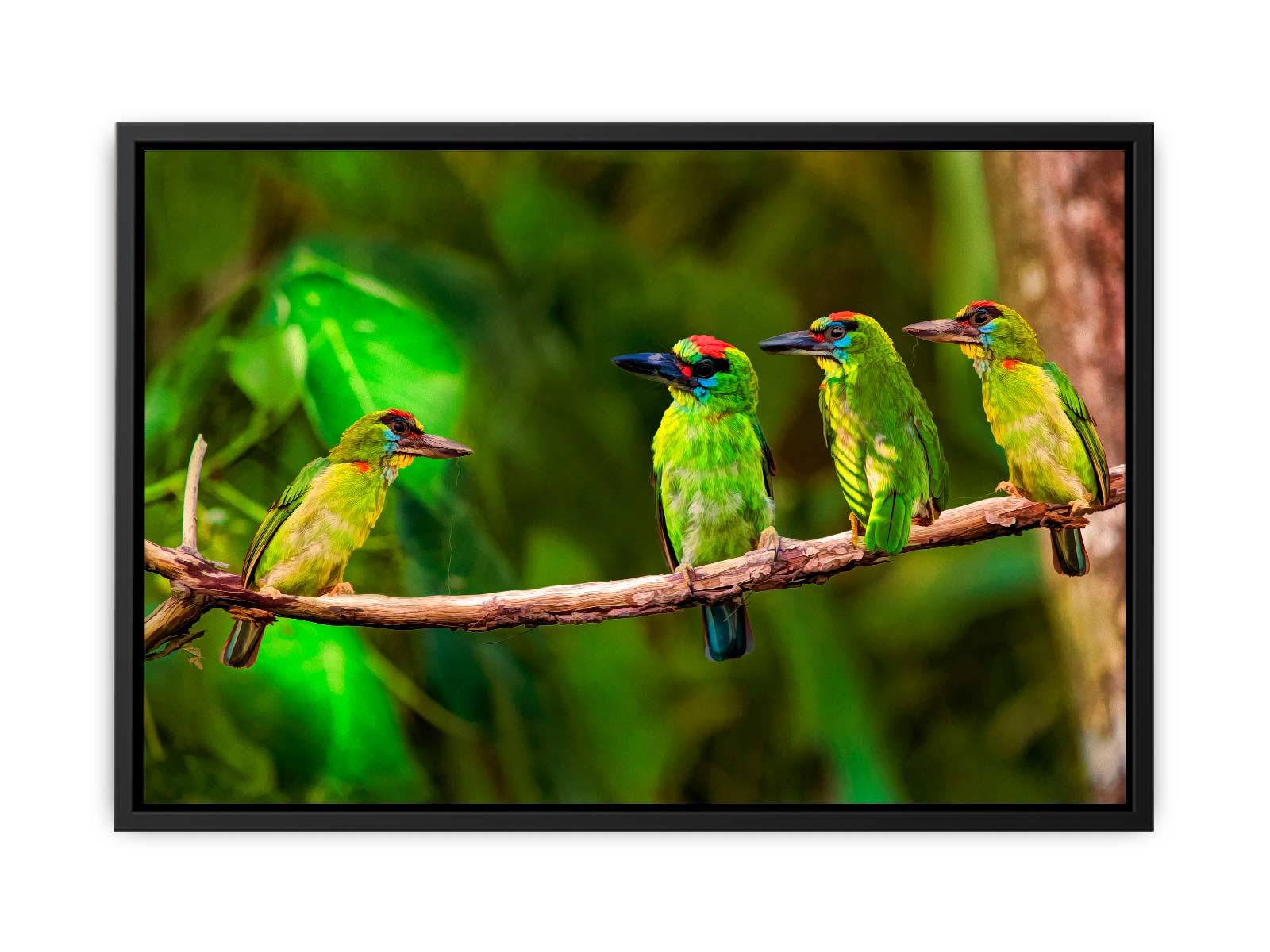 Birds Painting 