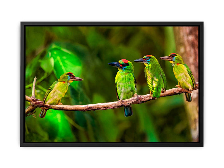 Birds Painting 