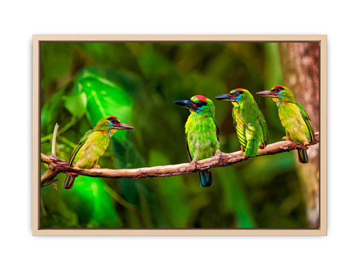 Birds Painting 