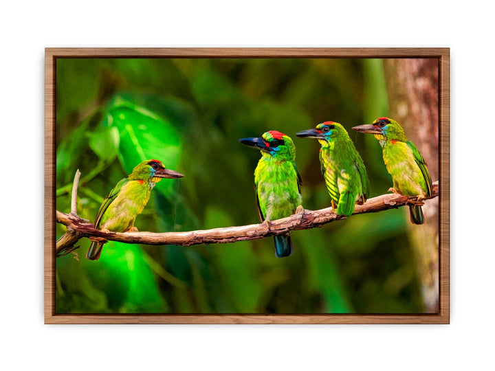 Birds Painting 