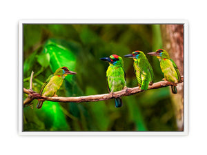 Birds Painting 